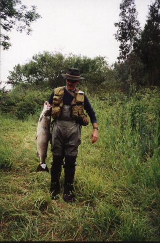 truchas en asturias,pesca truchas,asturias mosca,pesca a mosca pesca mosca